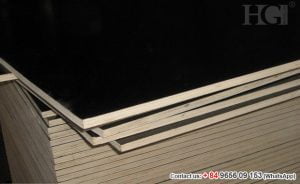 film-faced-vietnam-plywood-hg