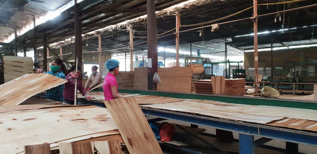 nhà máy ván ép phủ phim hg plywood