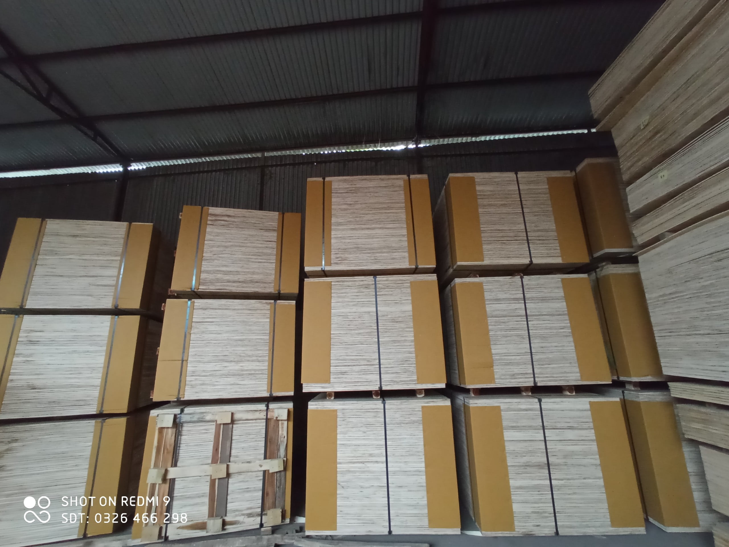 gỗ dán ép hg plywood