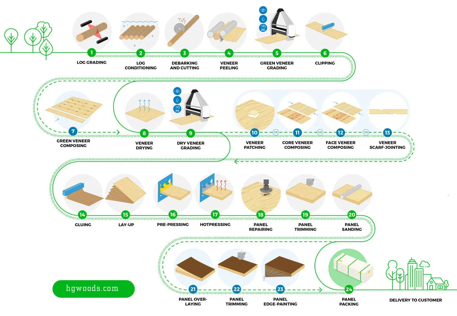 vietnam Plywood Production Process