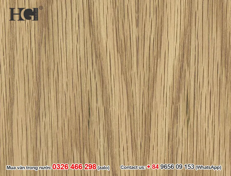 gỗ veneer sồi