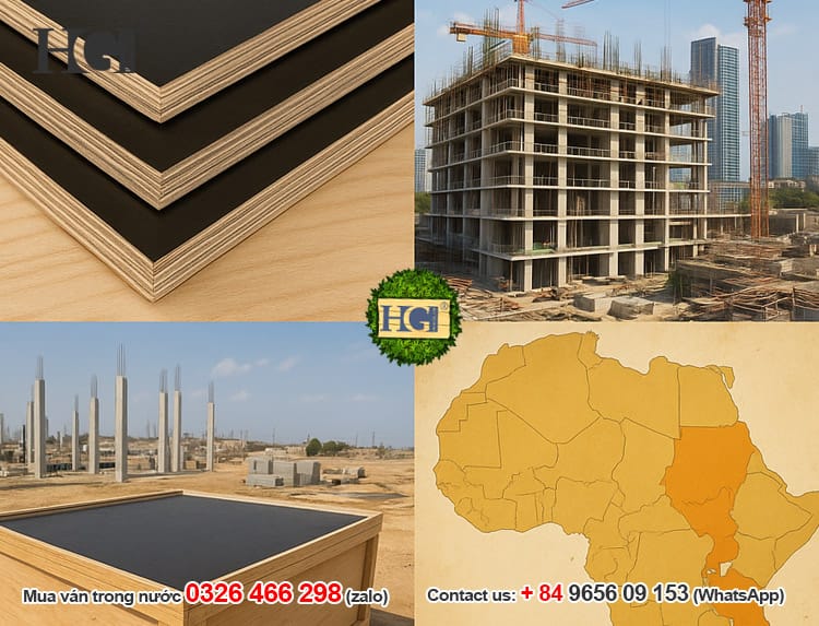 gỗ ván ép phủ phim thị trường ấn độ