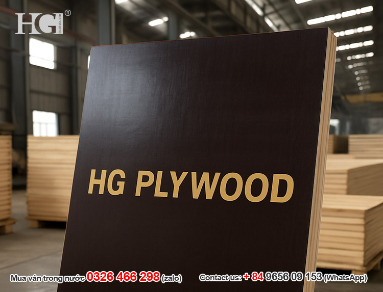 ván ép phủ phim hg plywood