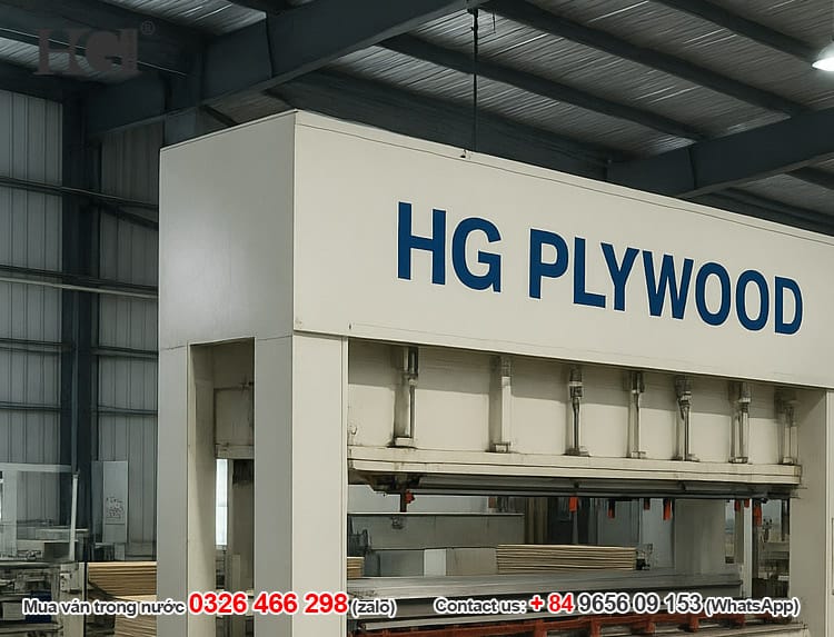 nha may go van ep hg plywood
