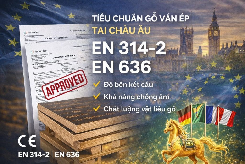 tieu chuan van ep chau au