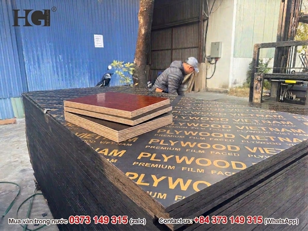 giá ván ép phủ phim 2026 tăng