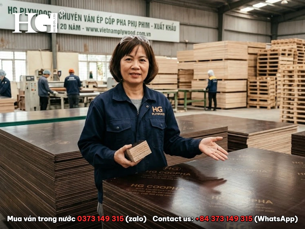 5 điều cần biết khi mua ván ép phủ phim 